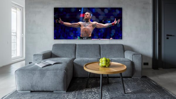 Conor McGregor schilderij