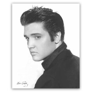 Elvis Presley schilderij