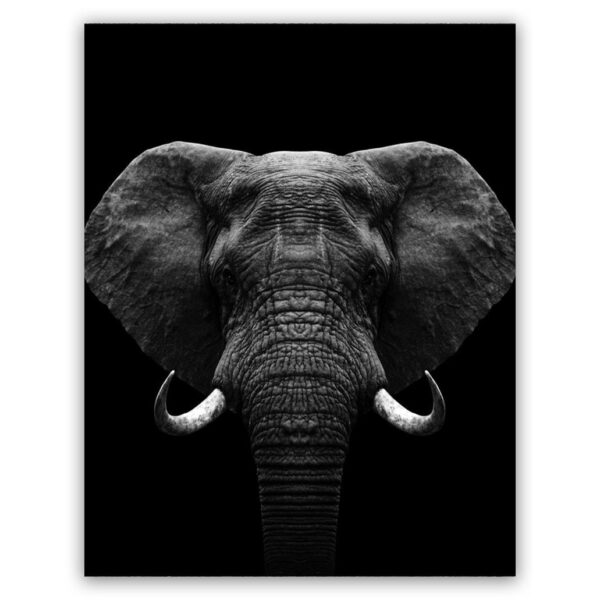 Zwart wit olifant schilderij