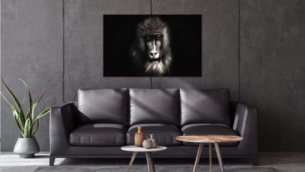 Aap Zwart Wit schilderij