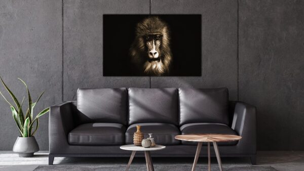 Aap Zwart Wit schilderij