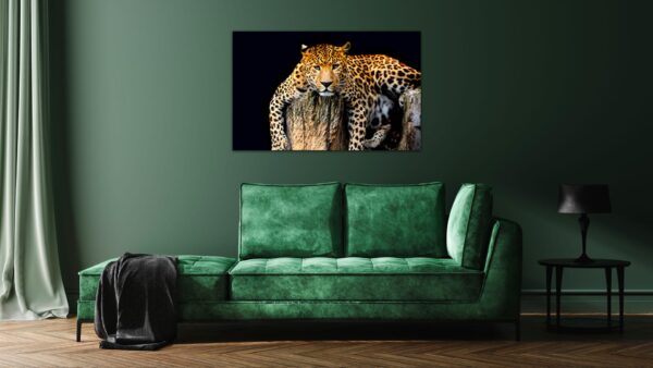Luipaard Liggend schilderij
