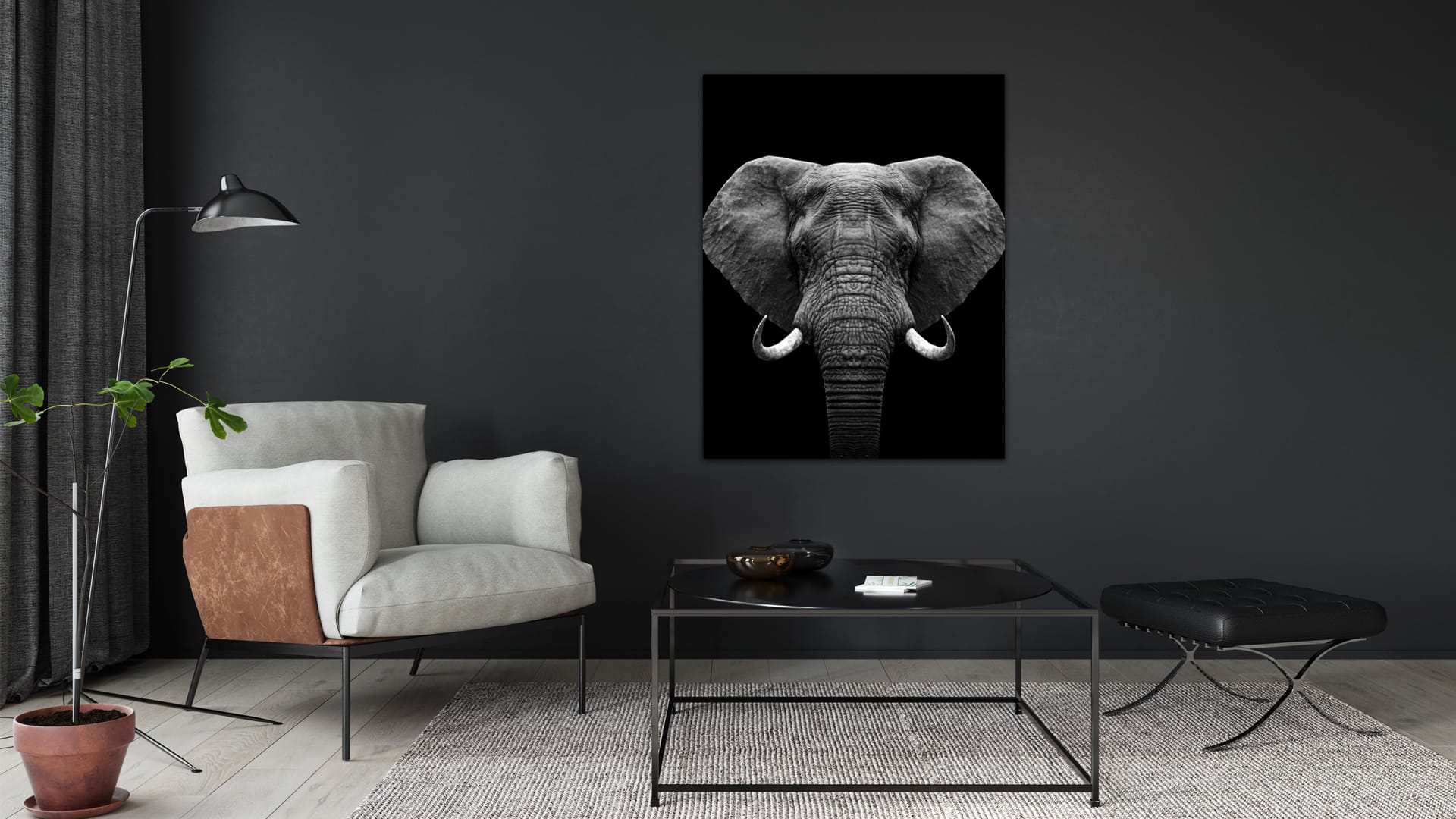 Zwart Wit Olifant schilderij