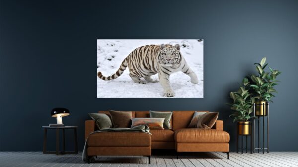 White Tiger 2 schilderij