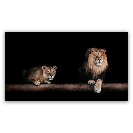 Twee Leeuwen schilderij