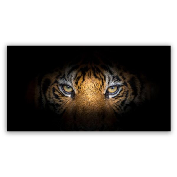 Tiger eyes schilderij
