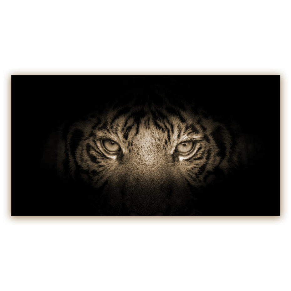 tiger-in-black-sepia