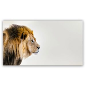 leeuw schilderij popartschilderijen