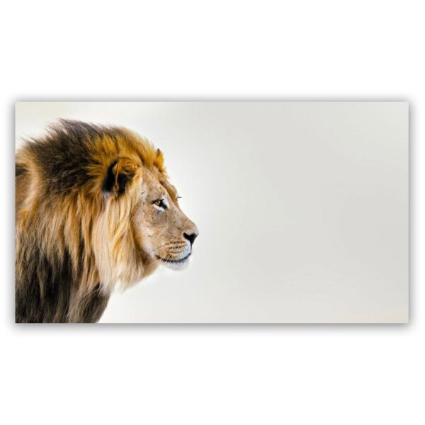 leeuw schilderij popartschilderijen