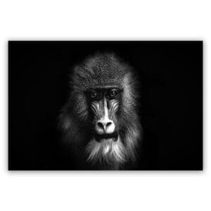 Aap schilderij popartschilderijen