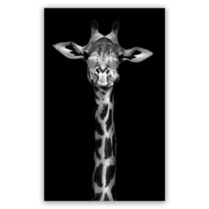 De Giraffe schilderij
