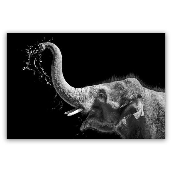 olifant met water schilderij