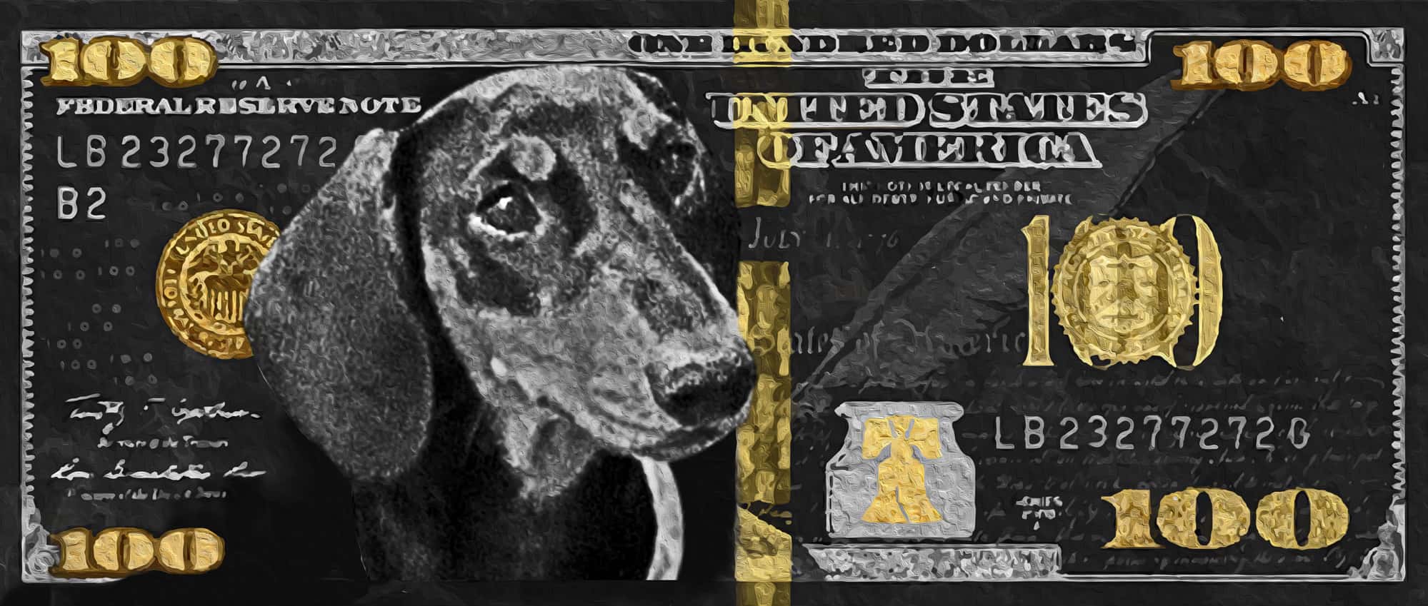 100 dollar hondje