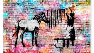 Colorful Washington Zebra Banksy